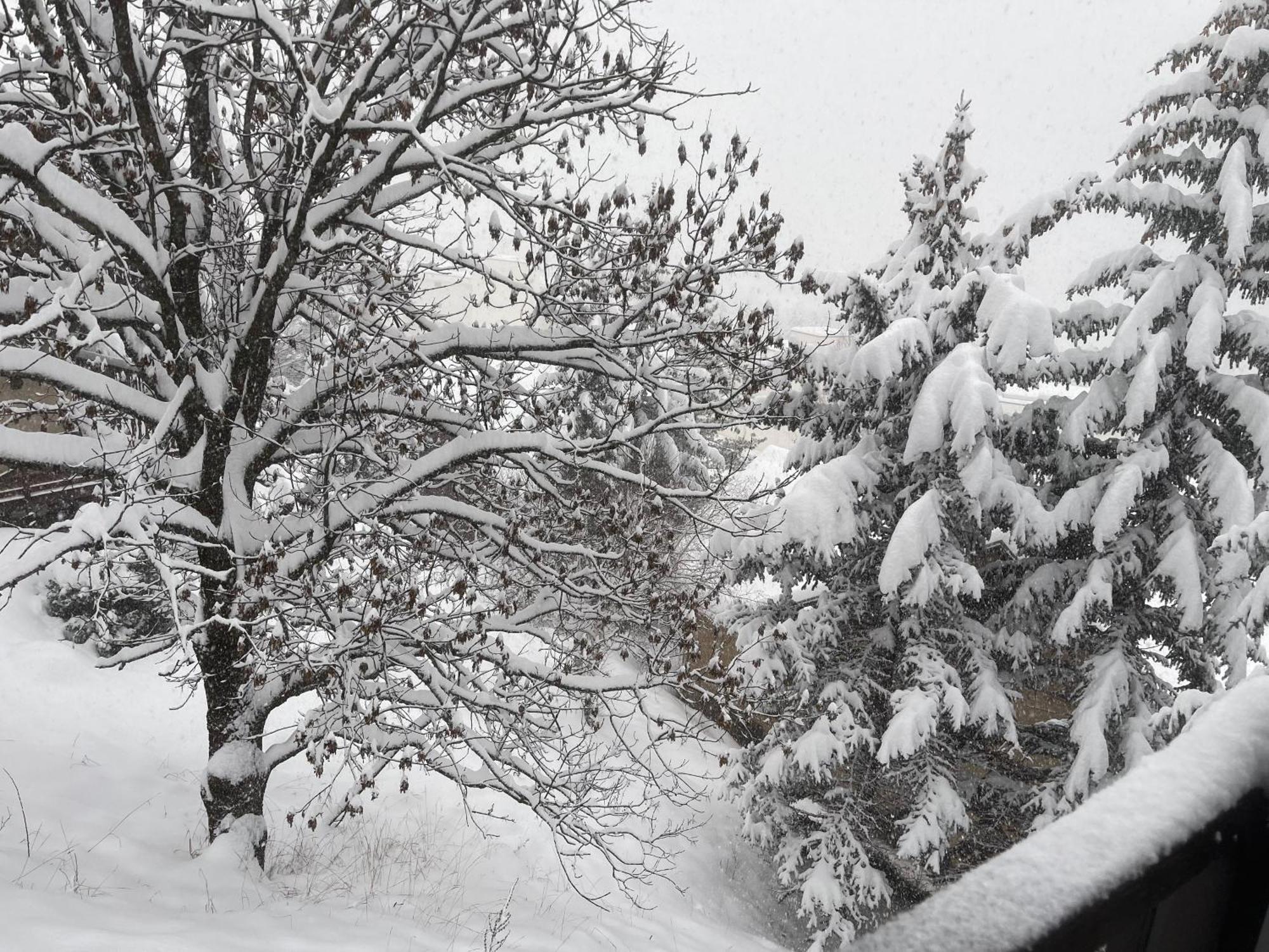 Serre Chevalier Studio 30 M2 Coin Montagne A 8 Minutes Des Pistes 圣沙夫雷 外观 照片